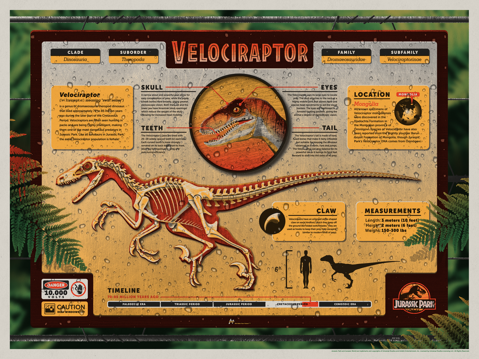 Velociraptor: El Depredador de Jurassic Park vs. La Realidad Científica