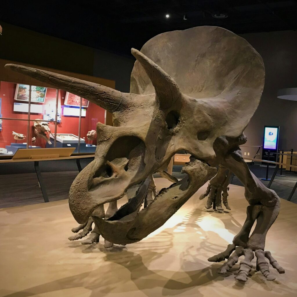 Cleveland Museum of Natural History, Wade Oval Drive, Cleveland, OH, USA