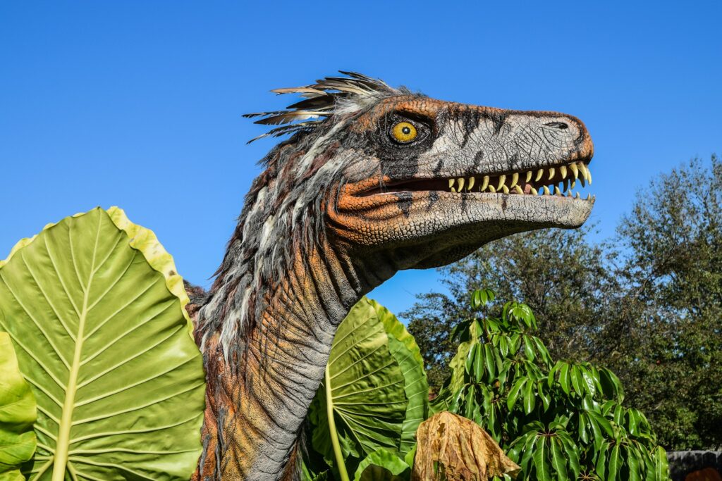 Velociraptor