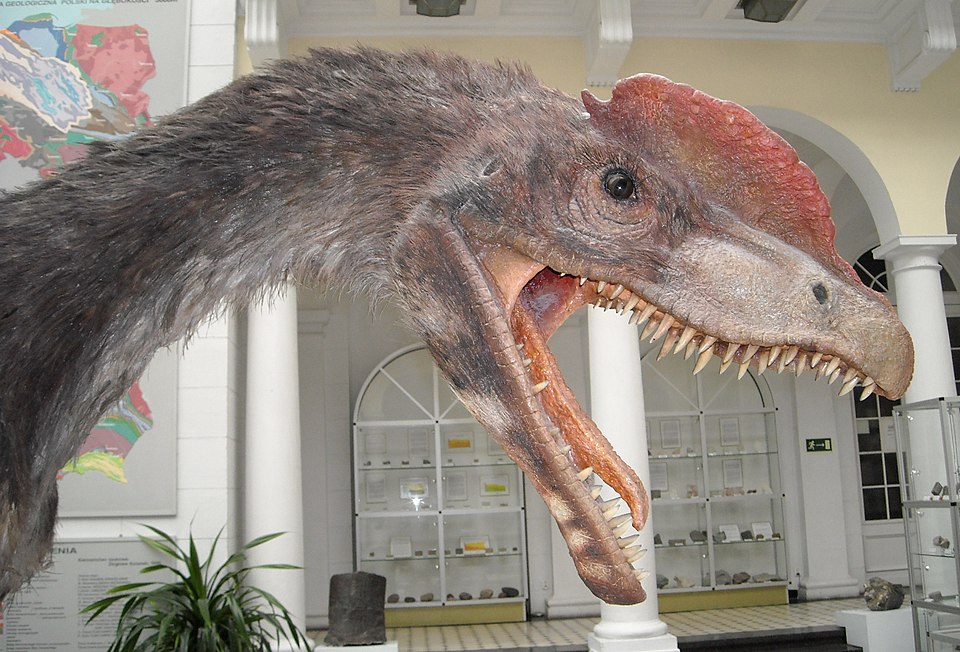 Dilophosaurus: El Dinosaurio con Cresta que Jurassic Park Engañó
